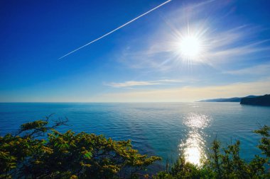 Uçağın denize iz .