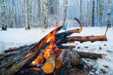 Kış ormanda yangın .