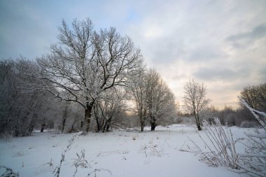 Bulutlu havada Kar Parkı