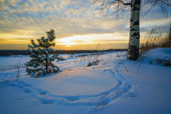 Paisagem de inverno, pegadas de pôr do sol na neve . — Fotografia de Stock