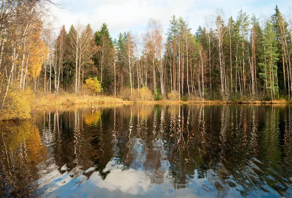 Reflectie van de herfstkust in het water van het bosmeer. Herfstlandschap. — Stockfoto