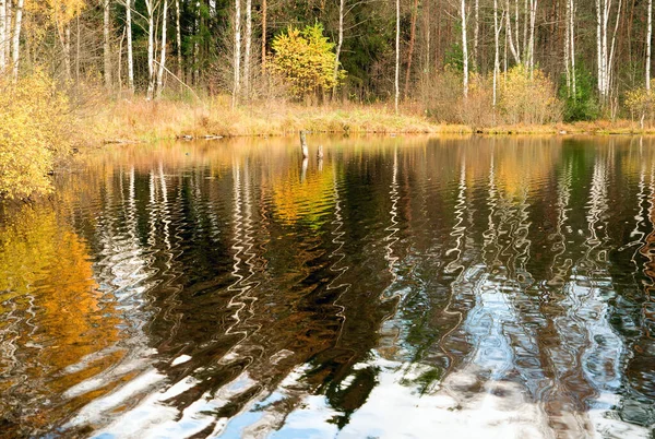 Reflection of the autumn shore in the water of the forest lake. Autumn landscape. — Stock Photo, Image