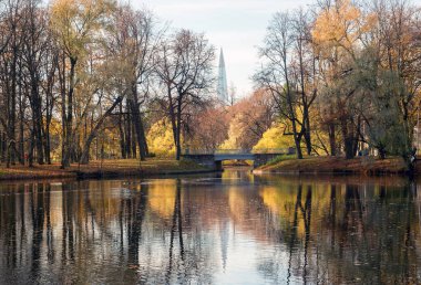 Sonbaharın sonundaki gölet. Elagin Adası. Saint-Petersburg.