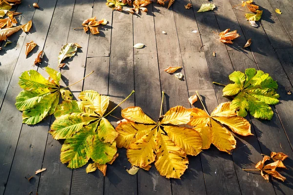 Outono folhas castanhas amarelas no chão de madeira.Ilha de Elagin. São Petersburgo . — Fotografia de Stock