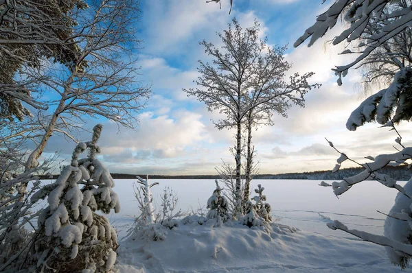 Paisagem de inverno com árvores cobertas de neve na margem de um lago congelado . — Fotografia de Stock