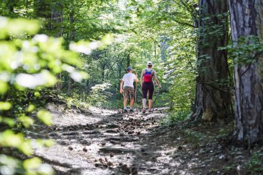 Anne ve oğul kozalaklarla birlikte çam ormanına gider. .