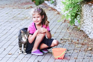 Kedi sokakta kızın elini ovuyor. .
