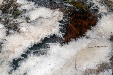 İlkbaharın başında ormandaki bir derede ince bir buz. Vsevolozhsk. Leningrad bölgesi
