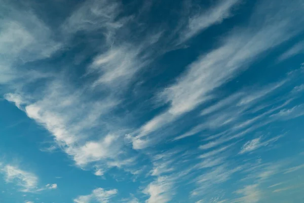 Feather clouds in the blue sky during the day