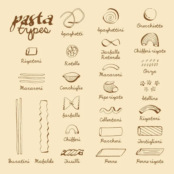 Collection of Italian Pasta Types — Stock Vector