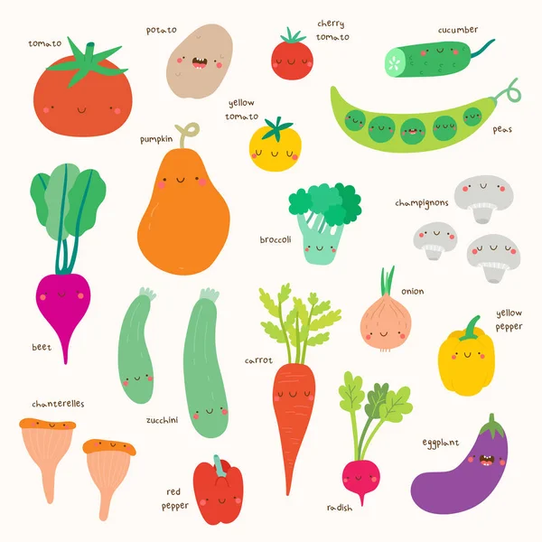 Gemüse und Pilze — Stockvektor