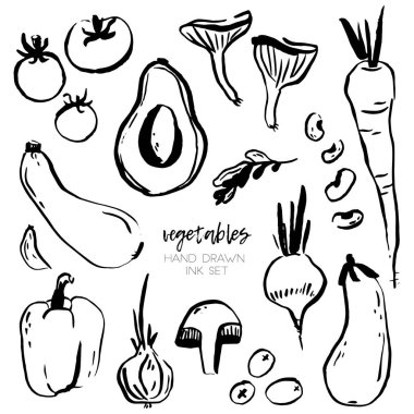 Sebze illüstrasyon vektör. Arka plan ile taze Svegetables