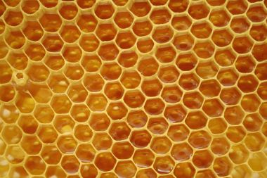 Petek arı kovanı, s exagonal arka plan içinde