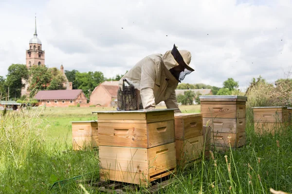 Biodlaren på jobbet på bigården med rökare intill kupans — Stockfoto