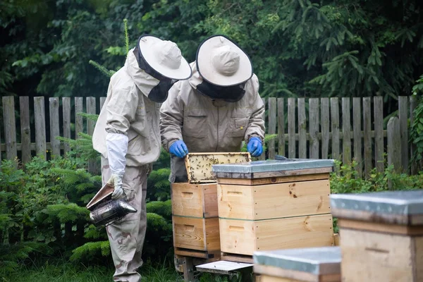 Biodlaren på jobbet på bigården med rökare intill kupans — Stockfoto