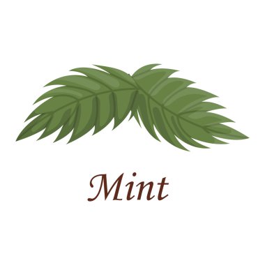 Taze ham nane yaprakları vektör illüstrasyon.
