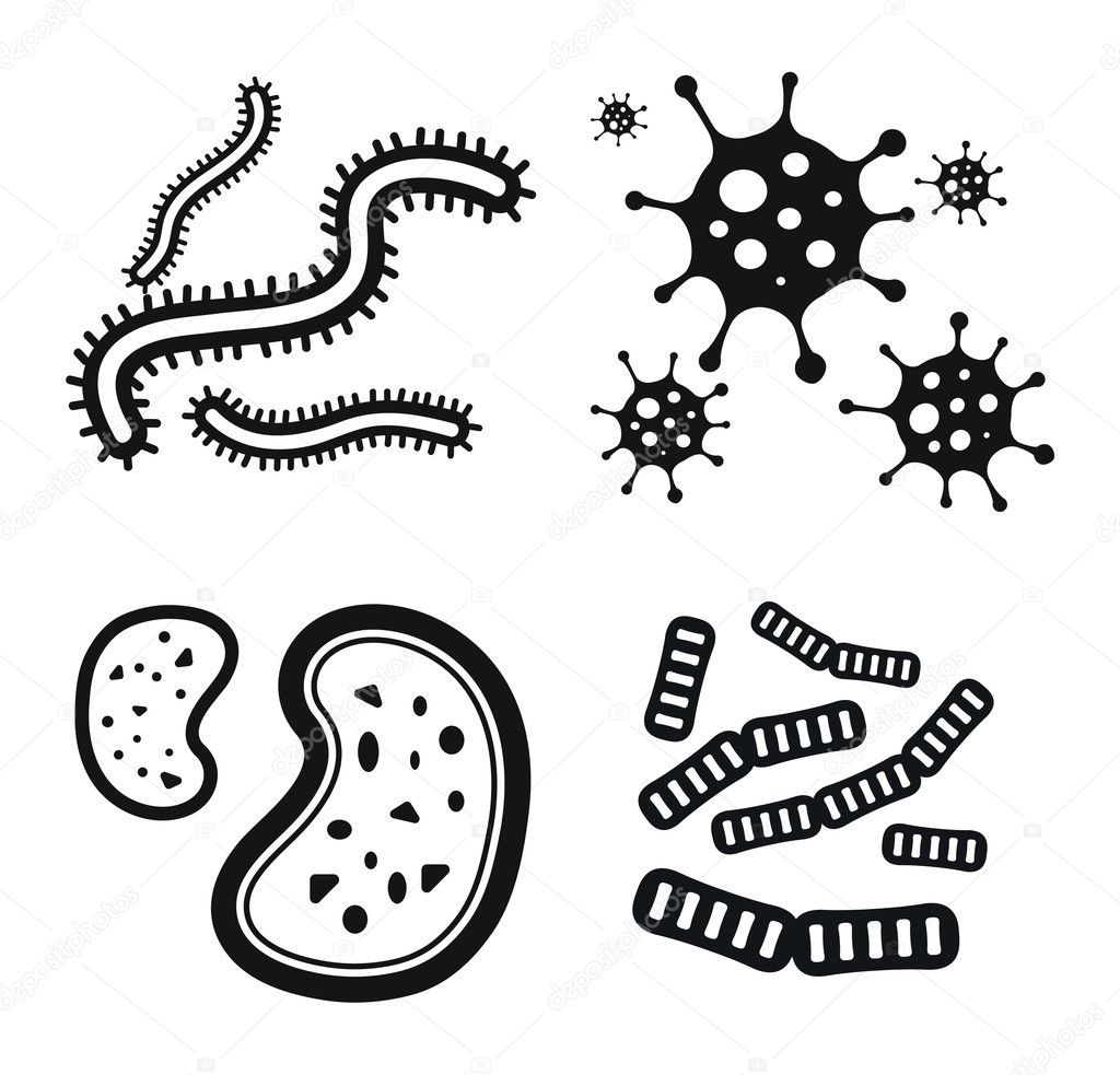 Бактерии черно белые