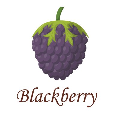 BlackBerry vektör çizim.