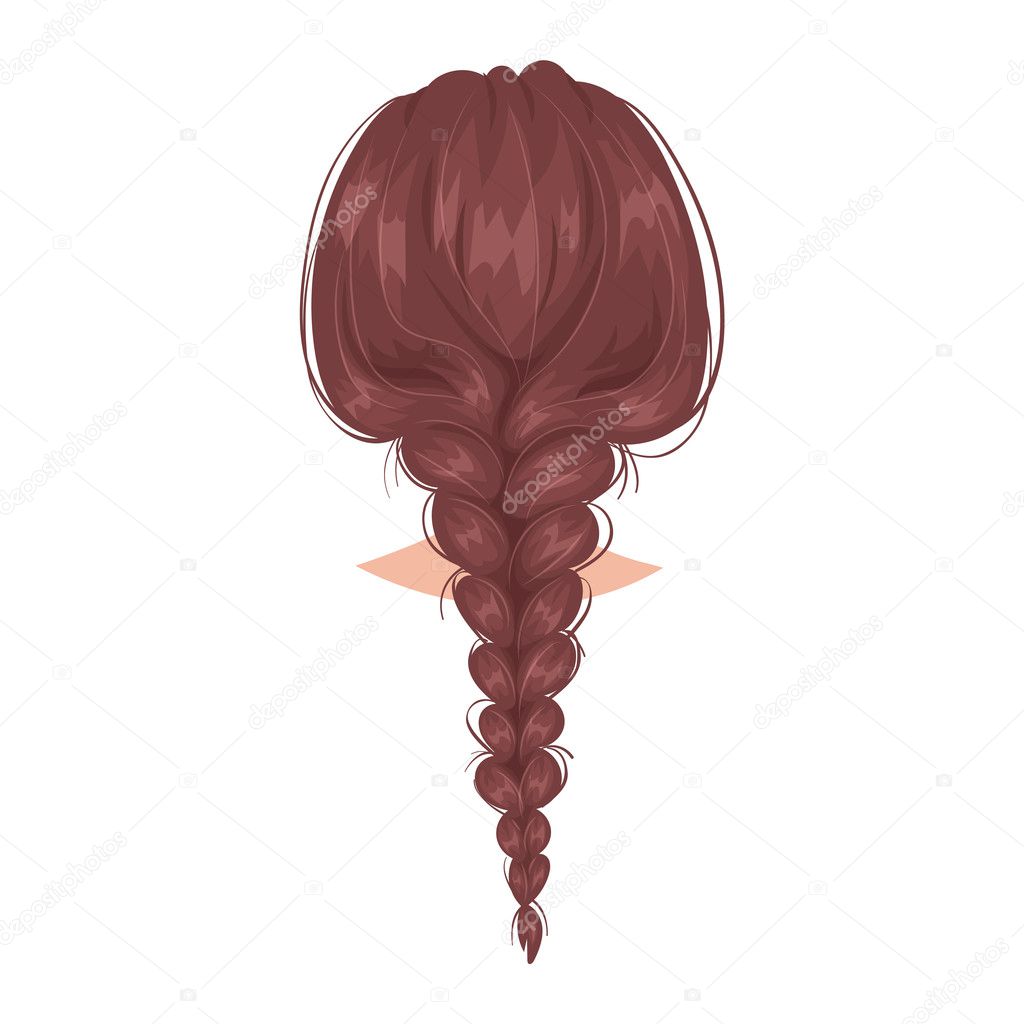 Vector woman hairstyle back view