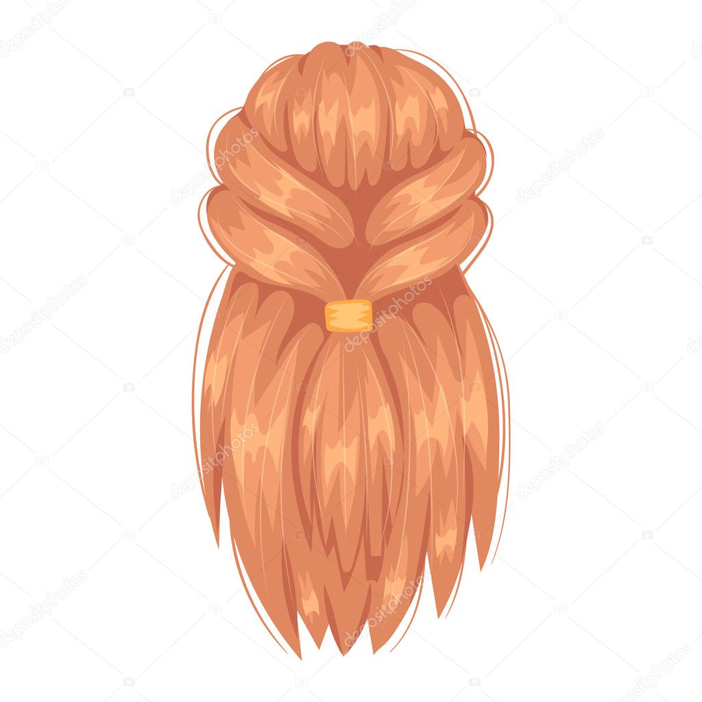 Vector woman hairstyle back view