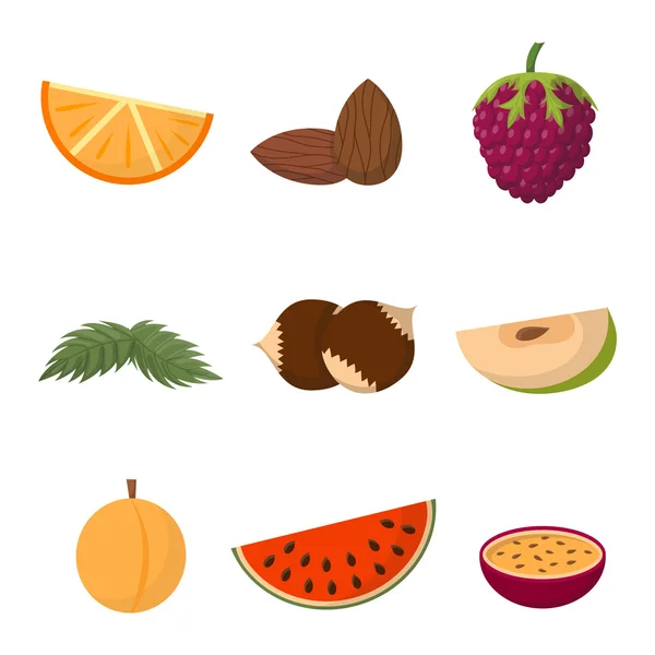 Ilustración del vector de frutas . — Archivo Imágenes Vectoriales