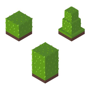 İzometrik ağaç vektör çizim.