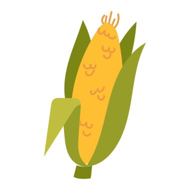 Mısır koçanı illüstrasyon vektör.