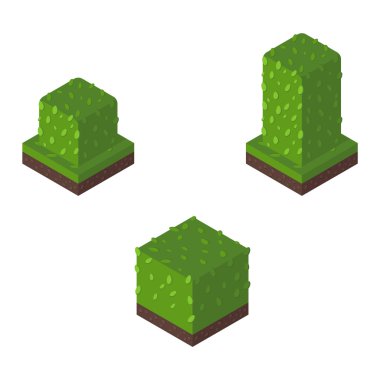 İzometrik ağaç vektör çizim.