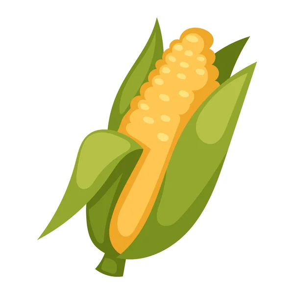 Ilustracja wektorowa kolb kukurydzy. — Wektor stockowy