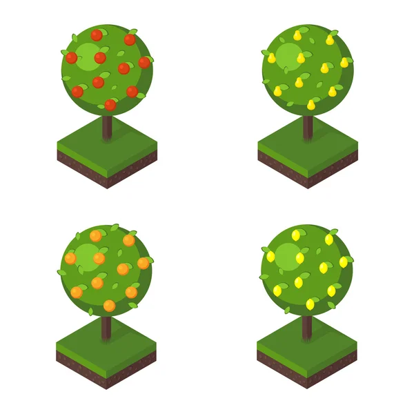 Isometric tree vector illustration. — Stock Vector