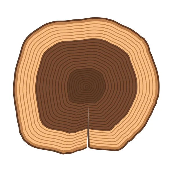 Δέντρο διάνυσμα φέτες απομονωμένες — Διανυσματικό Αρχείο