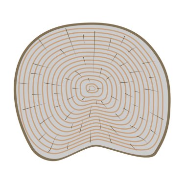 Ağaç dilimleri vektör izole