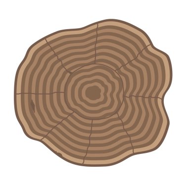 Ağaç dilimleri vektör izole