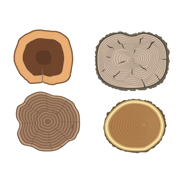 Conjunto de vetores de fatias de árvores — Vetor de Stock