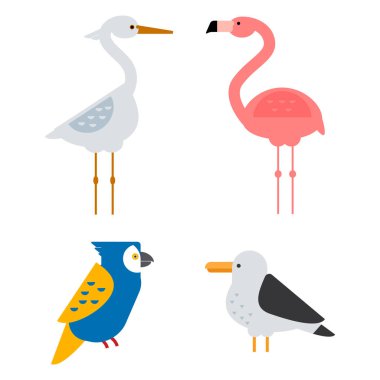 Kuşlar vektör illüstrasyon izole ayarla