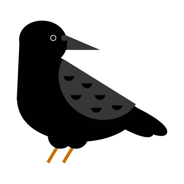 Carrión cuervo cuervo vector ilustración . — Archivo Imágenes Vectoriales
