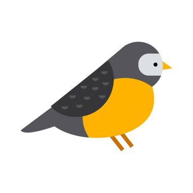 Şakrak kuşu renkli doğa kış kuş