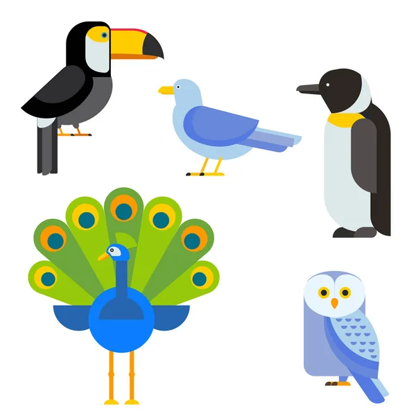 Aves vector conjunto ilustración aislado — Vector de stock