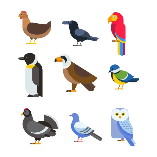 Conjunto de vetores de aves ilustração isolada —  Vetores de Stock