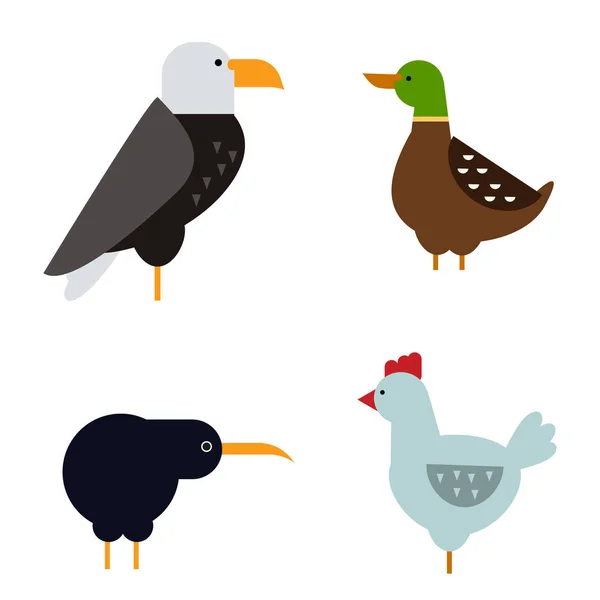 Aves vector conjunto ilustración aislado — Archivo Imágenes Vectoriales