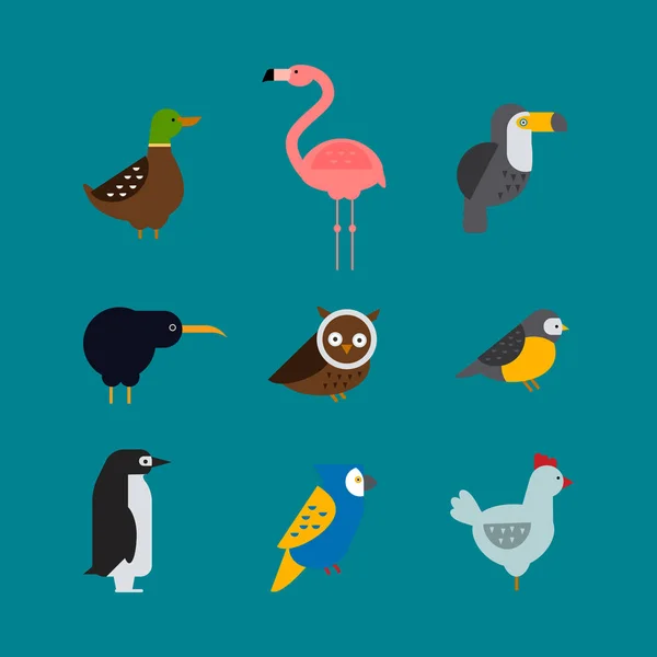 Aves vector conjunto ilustración aislado — Vector de stock