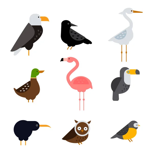 Aves vector conjunto ilustración aislado — Vector de stock