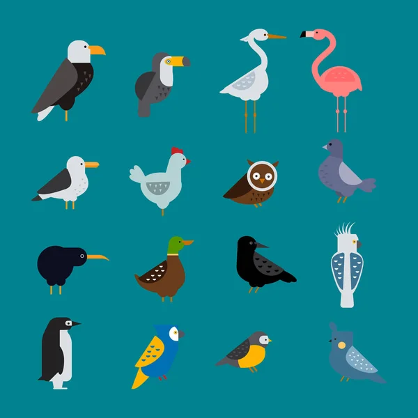 Ptaki wektor zestaw ilustracja na białym tle — Wektor stockowy