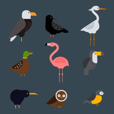 Kuşlar vektör illüstrasyon izole ayarla