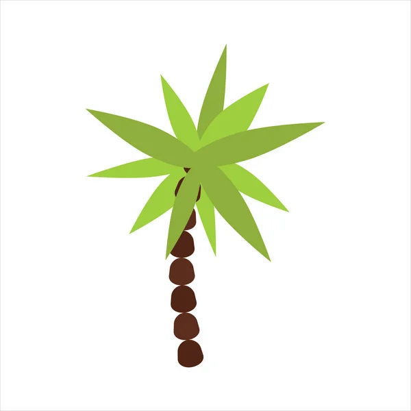 Palmiye ağaç izole vektör. — Stok Vektör