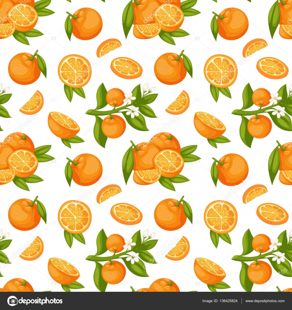 Orange fruit seamless pattern vector. — Stock Vector © adekvat #136425824