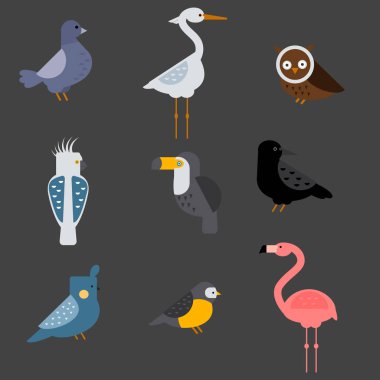 Kuşlar vektör illüstrasyon izole ayarla