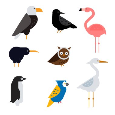 Kuşlar vektör illüstrasyon izole ayarla