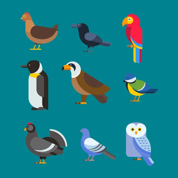 Aves vector conjunto ilustración aislado — Archivo Imágenes Vectoriales