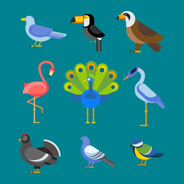 Aves vector conjunto ilustración aislado — Archivo Imágenes Vectoriales